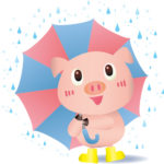 傘の豚ちゃん
