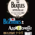 251129　Beatribes±　フライヤー